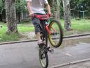 ���� BMX