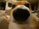 ���� ��