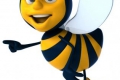 ������