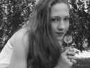 ���� 