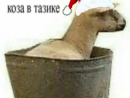 ���� ����� � ������
