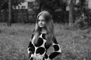 ���� 