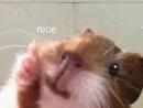 ���� 