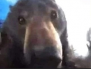 ���� 