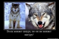 ��� ������!)))