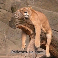 ������