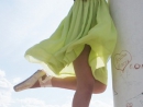 ���� 