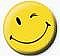 ���� SMILE