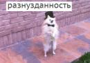 ���� 