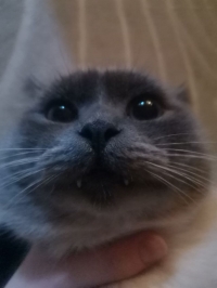 ������