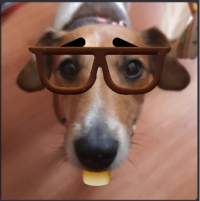 ������
