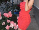���� 