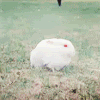 ������
