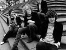 ���� the kooks