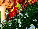 ���� green flowers