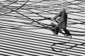 Gilbert Garcin - Artiste Photographe - Marseille