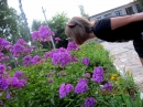 ���� 