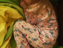 ���� 