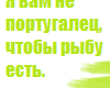 ��������� ����. ������������������. ������.