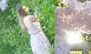 ���� 