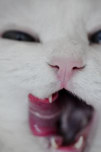 ������