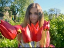 ���� 