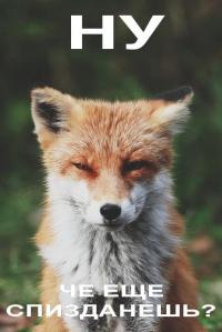 ������