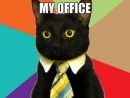 ���� Right MEOW