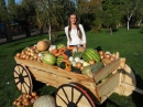 ���� Autumn