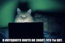 ���� ��� ���� ;)