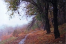 ���� ��� ��������