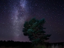 ���� Mikko Lagerstedt