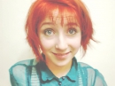 ���� 