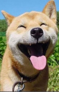 ������
