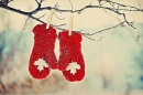 ���� �Winter�