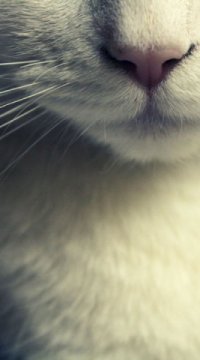 ������