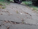 ���� ��� ��������