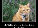 ���� ��� ��������
