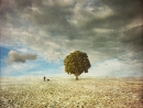 ���� Dariusz Klimczak