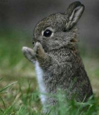 ������