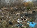 ���� ������� ������