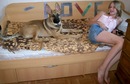 ���� ���� � � 
