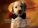 ���� ��� ��������