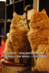 ������