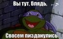 ���� ��� ��������