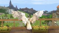 ������