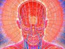 ���� Alex Grey 