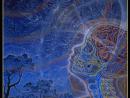 ���� Alex Grey 