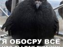 ���� ��� ��������