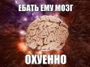 ���� ��� ��������